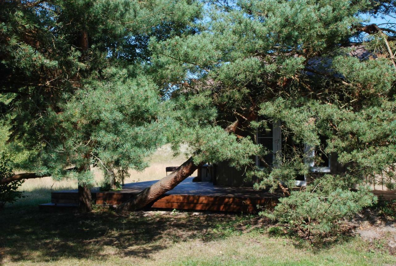 帕普罗加斯山林小屋 外观 照片